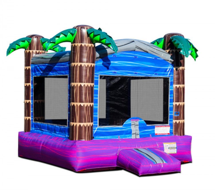 Bounce Houses & Moonwalks - Wicked Bounce Inflatables Llc