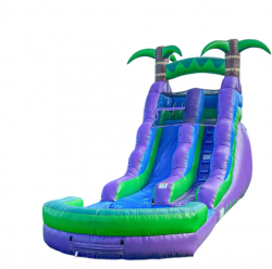 20241002 183104 0000 1727909767 Tropical Paradise 16ft Wet/Dry Slide