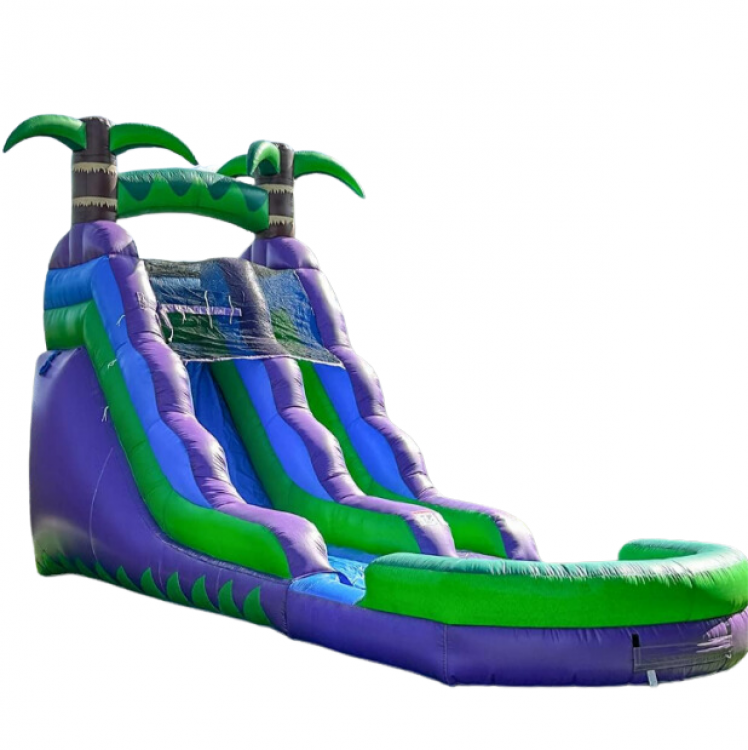 Tropical Paradise 16ft Wet/Dry Slide